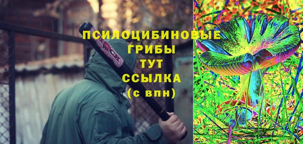 PSILOCYBIN Алексин