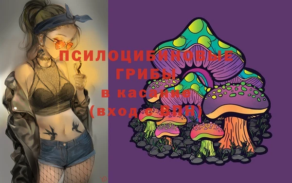 PSILOCYBIN Алексин