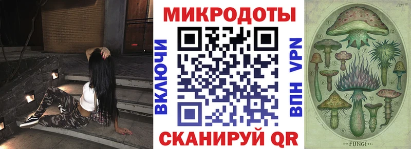Псилоцибиновые грибы Cubensis мега онион Майкоп